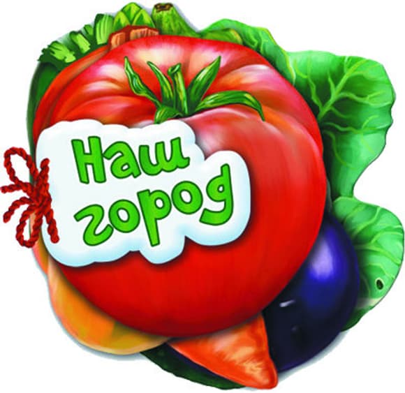 Дитяча книжка Відгадай-н о Наш город 248005  укр. мовою