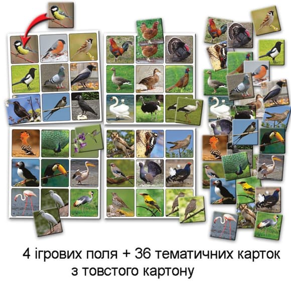 Дитяча настільна гра супер ЛОТО "Птахи" 81930 картки птахів - 36 шт