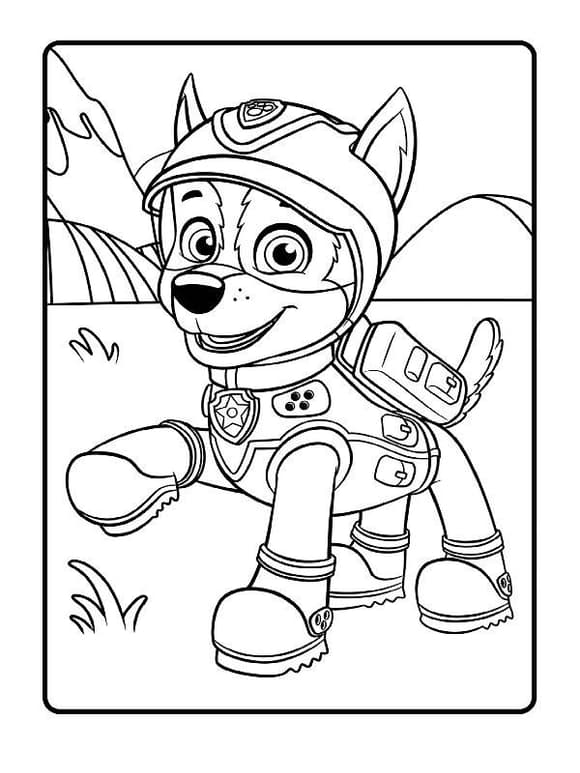 Книжка-розмальовка Щенячий патруль "Патрул ь, на базу!" 228002 укр. мовою