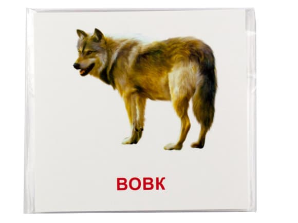 Развивающие карт очки "Лесные жители" (110х110 мм) 66425 на укр./англ. языке