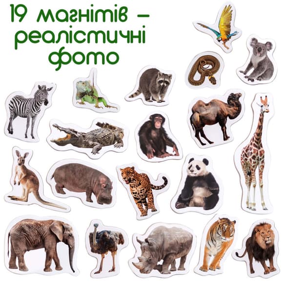 Набір магнітів Зоо 19шт ML4031-02 EN