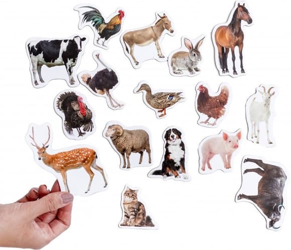 Набір магнітів Magdum "Ферма реалістичні" ML4031-04 EN