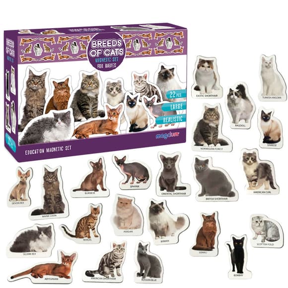 Набір магнітів Magdum "Породи кішок" ML4031-13 EN