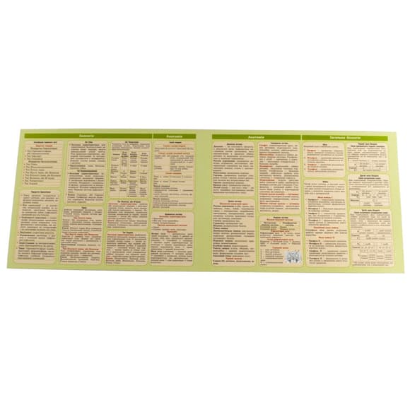 Картонка-підказка Біологія 6-11 кл. ZIRKA 66445