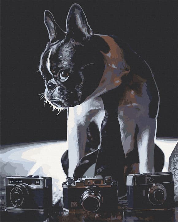 Картина за номерами. Art Craft Сором'язливий фотограф 40х50 см 11642-AC