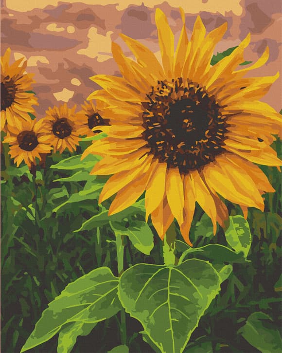 Картина за номерами. Art Craft Яскравий соняшник 40х50 см 13120-AC