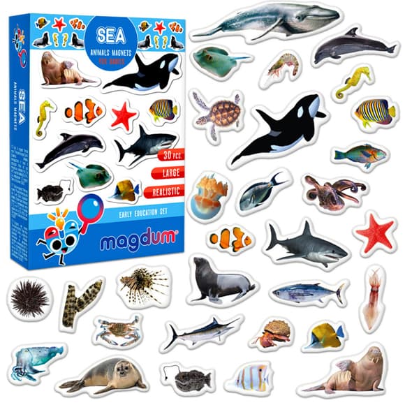 Дитячий набір магнітів Морські мешканці фото ML4031-28 EN