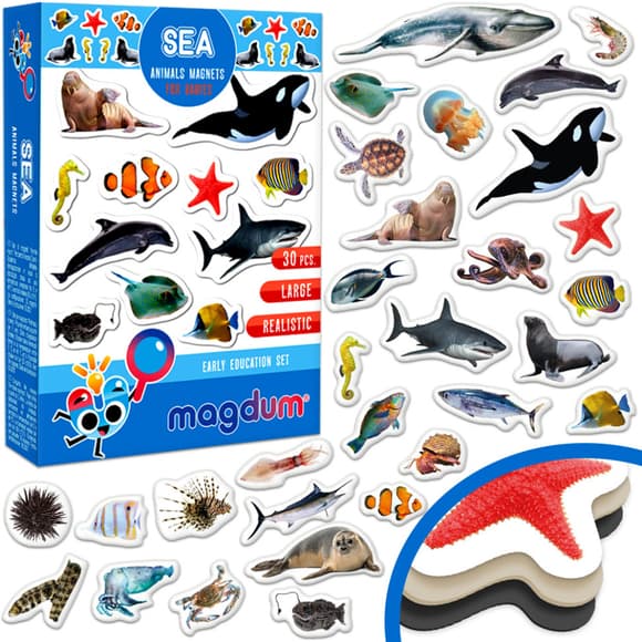 Дитячий набір магнітів Морські мешканці фото ML4031-28 EN