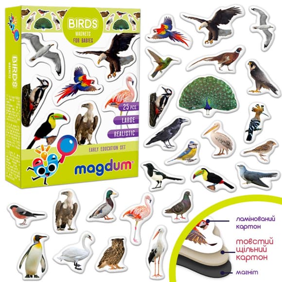 Детский набор магнитов Птицы фото Magdum ML4031-30 EN