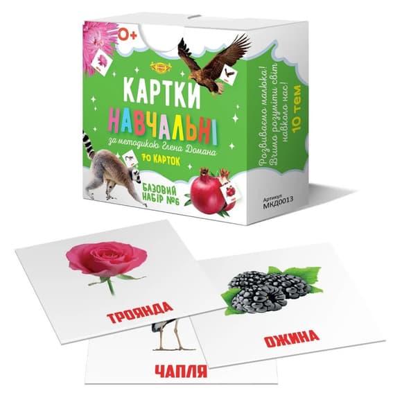 К арточки обучающие Гленна Домана №6 Мастер MKD0013 укр