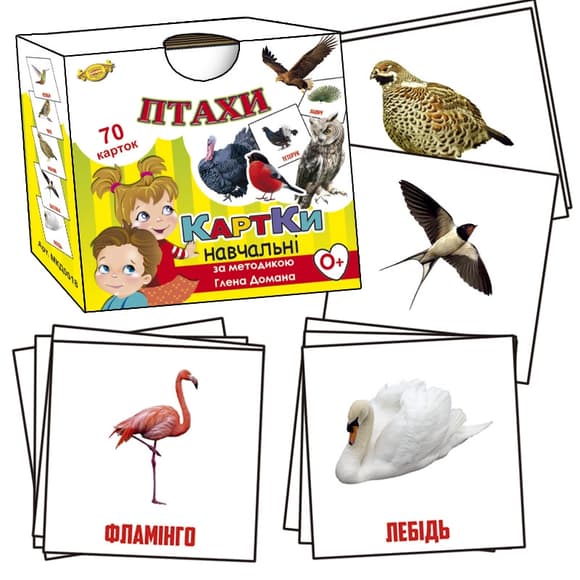 Обучающи е карточки Глена Домана. "Птицы" MKD0018