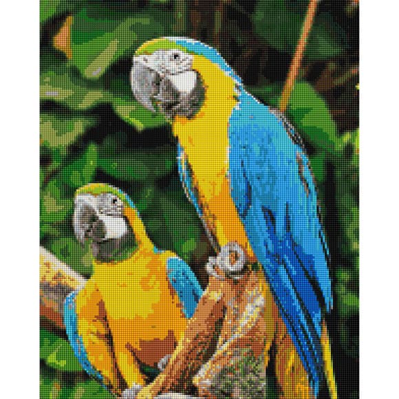 Алмазная мозаика "Попугаи Ара" Brushme DBS1049 40х50 см