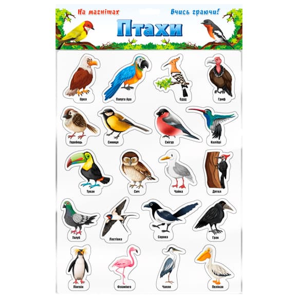 Набор магнитов "Птицы" 1311ATS