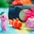 Растущая игрушка "Жители тропических морей" #sbabam 77/CN-2020 в яйце «Tropical Eggs»