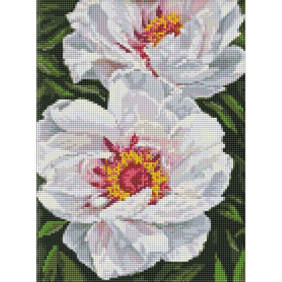 Алм азная мозаика "Белые пионы" AMO7753 30х40 см