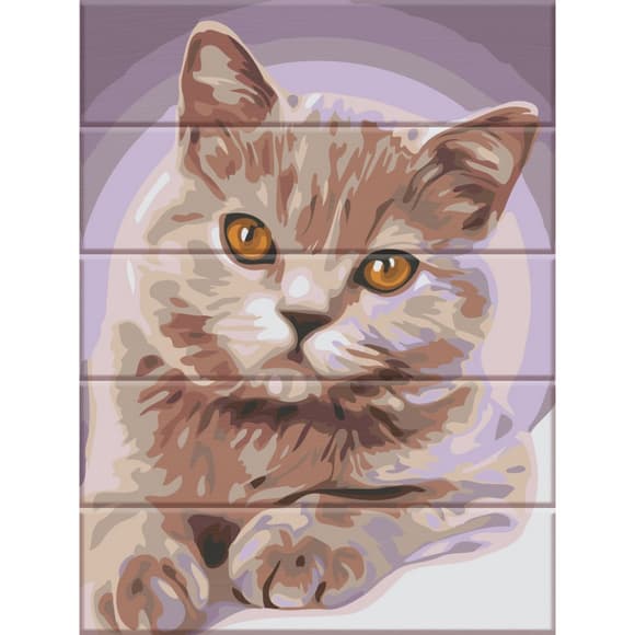 Картина по номерам по дере ву "Котик" ASW150 30х40 см