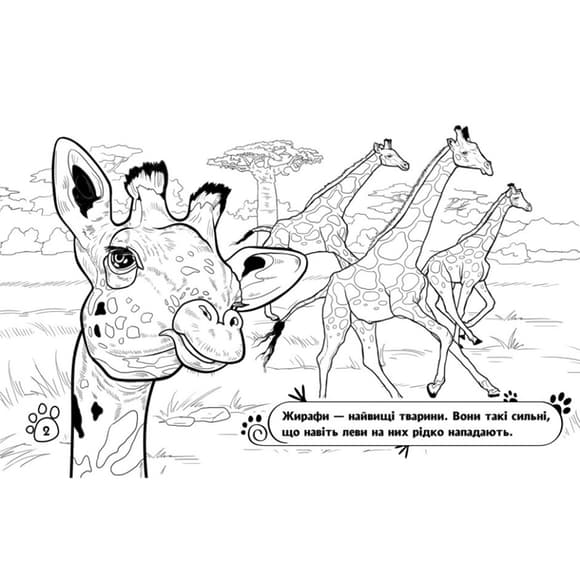 Дитяча розмальовка "Тварини у далеких краях" 583009, 16 сторінок