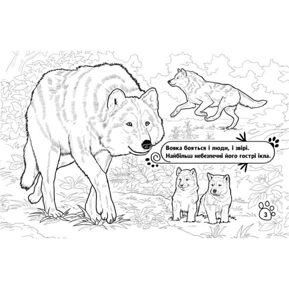 Дитяча розмальовка "Тварини у лісі" 583012, 16 сторінок