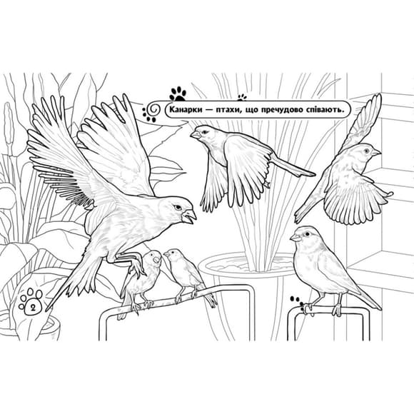 Детская раскраска "Животные в доме" 583010, 16 страниц