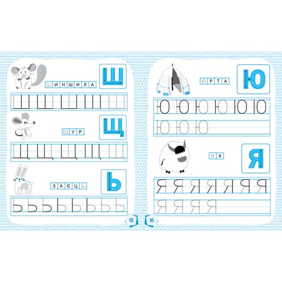 Готовимся к школе Прописи Учим буквы 822005, 16 страниц