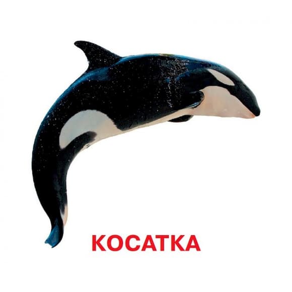 Развивающие карточки для детей Кто в воде живет J802у, 18 картинок