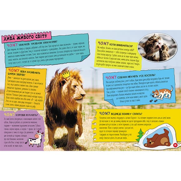 Енциклопедія у питаннях та відповідях "100 відповідей на запитання ЧОМУ?" 880003