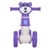 Детская каталка-толокар M 5762-9 фиолетовый, до 25 кг