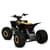 Детский электромобиль Квадроцикл E-FOX-1450-6 до 150 кг