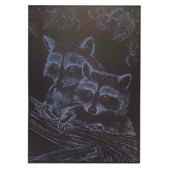 Гравюра А4 "Енот" ГрА4-16с эконом вариант в пакете 29,7х21 см