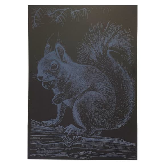 Гравюра А4 "Белка" ГрА4-1с эконом вариант в пакете 29,7х21 см