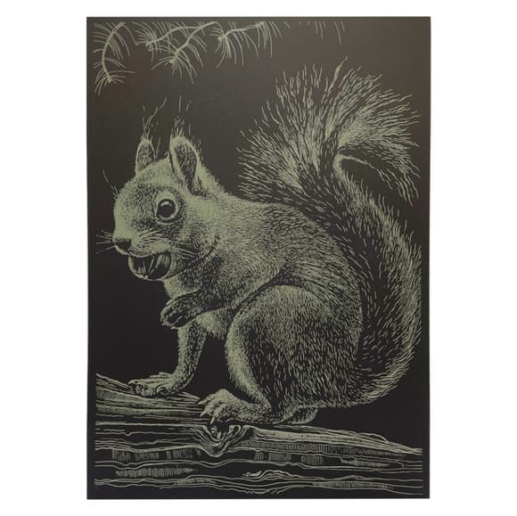 Гравюра А4 "Білка" ГрА4-1з економ варіант в пакеті 29,7х21 см
