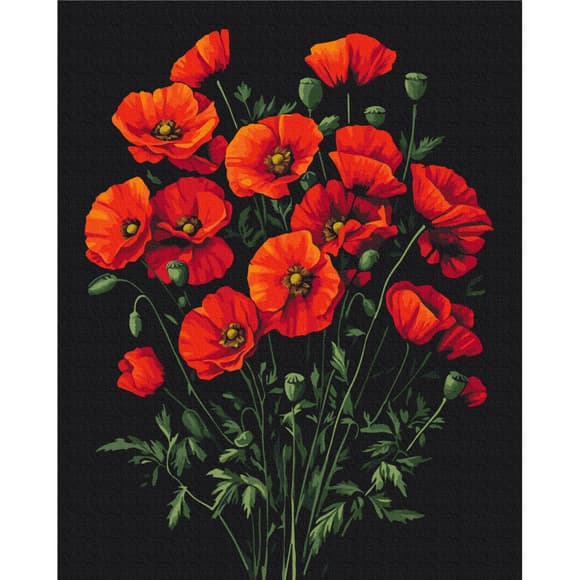 Картина за номерами "Чарівність маків" BS54146, 40х50 см 