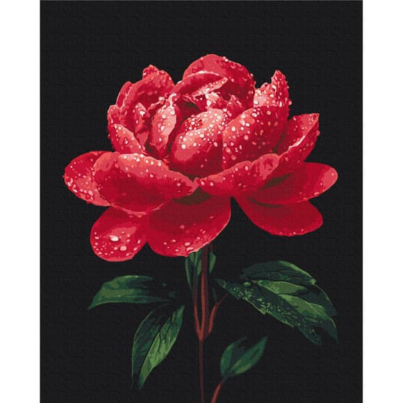 Картина по номерам "Пионы в сиянии росы" BS54148, 40х50 см