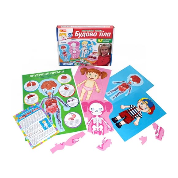 Учебные пазлы "Телосложение" 13164012, 58 больших пазлов, плакат