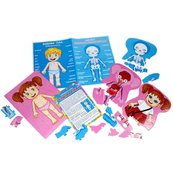 Учебные пазлы "Телосложение" 13164012, 58 больших пазлов, плакат