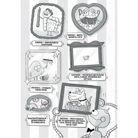 Энциклопедия дошкольника "Анатомия для детей" 154101