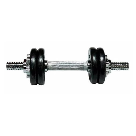 Гантель наборная литая 1шт 10 кг TI-968-747