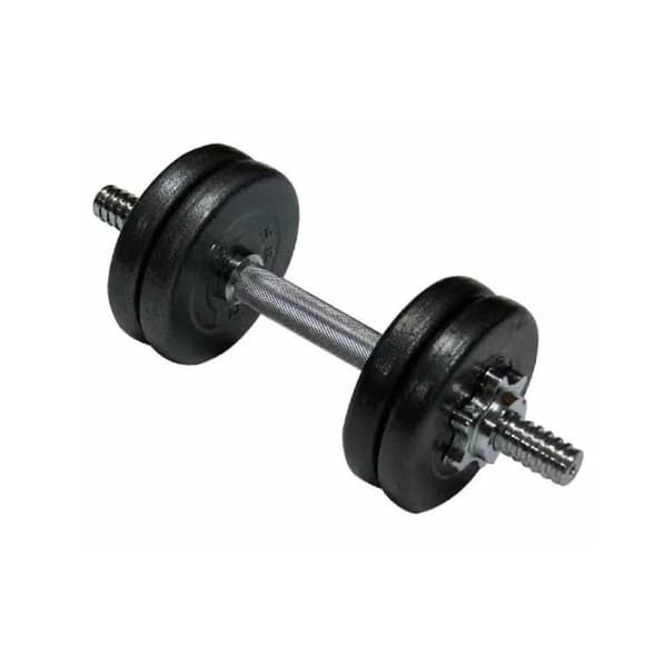 Гантель наборная литая 1шт 10 кг TI-968-747