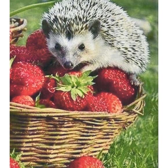 Алмазна мозаїка "Їжачок та полуниця" HEG86093 30х40 см 