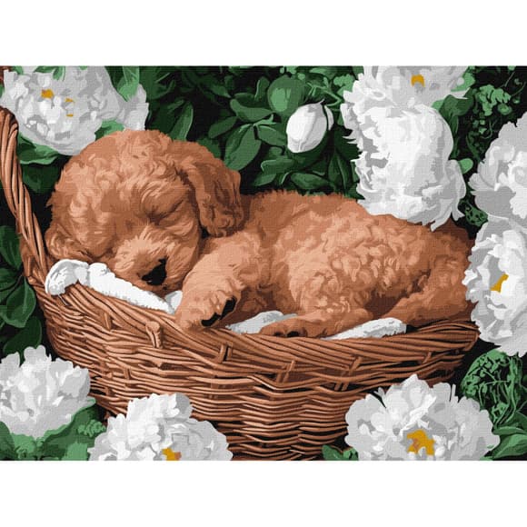 Картина по номерам "Спящий пудель" Идейка KHO6677 30х40 см