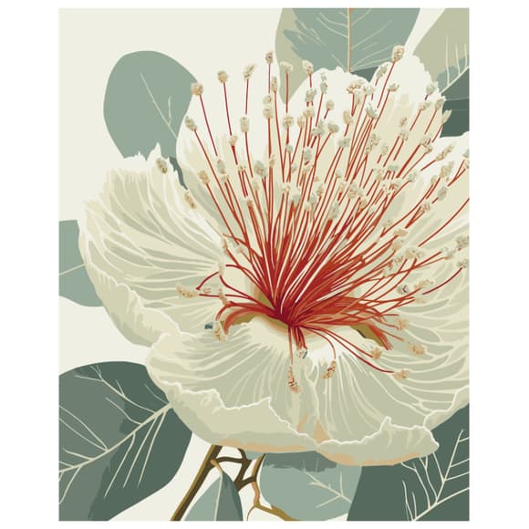 Картина по номерам "Цветущий эвкалипт" Art Craft 13155-AC 40х50 см