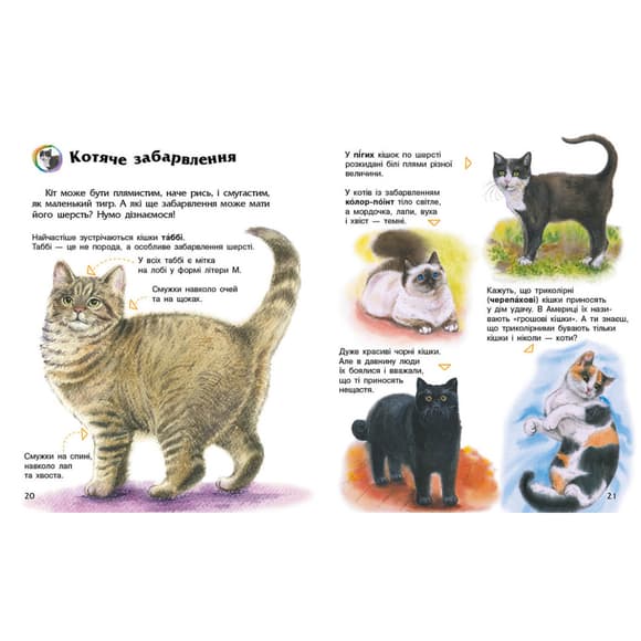 Енциклопедія дошкільника "Коти" 614039 для найменших