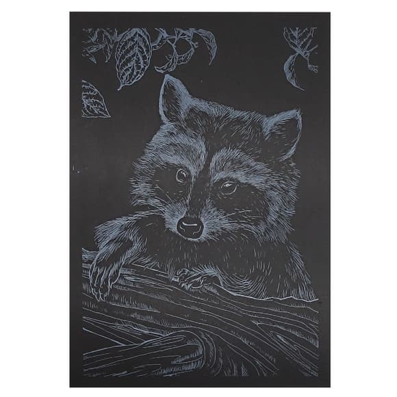 Гравюра А5 "Єнот" ГрА5с-24 економ варіант у пакеті 21 х 14,8 см