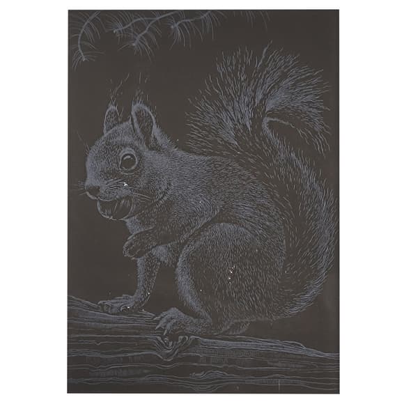 Гравюра А5 "Білочка" ГрА5с-22 економ варіант у пакеті 21 х 14,8 см