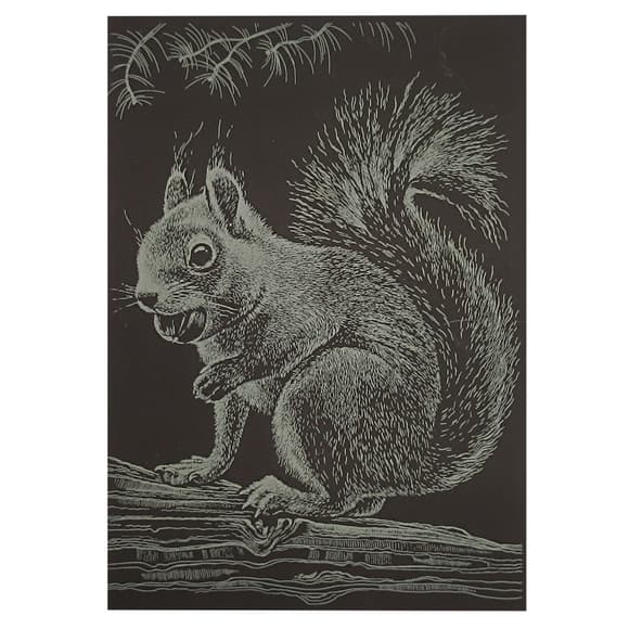 Гравюра А5 "Белочка" ГрА5з-13 эконом вариант в пакете 21 х 14,8 см