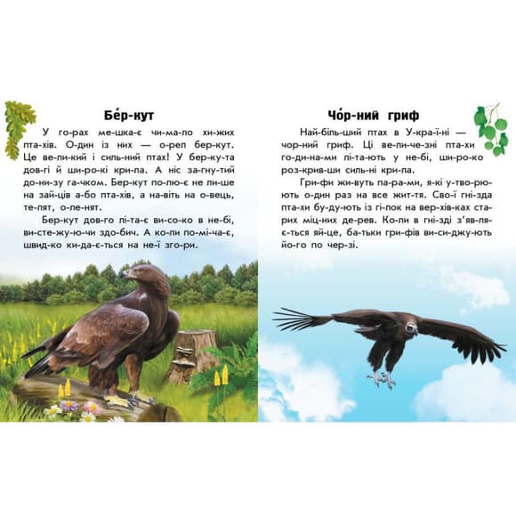 Читаю про Украину по слогам "Животные гор" 366021 с цветными иллюстрациями