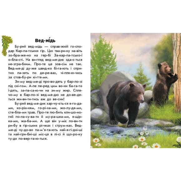 Читаю про Украину по слогам "Животные гор" 366021 с цветными иллюстрациями