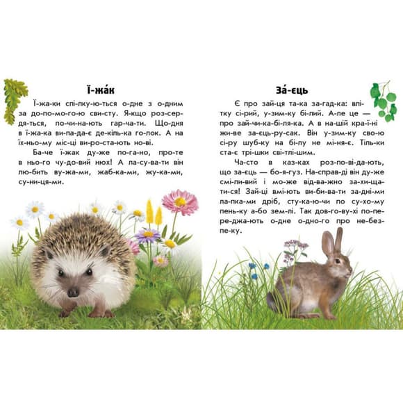 Читаю про Украину по слогам "Животные лесов" 366023 с цветными иллюстрациями