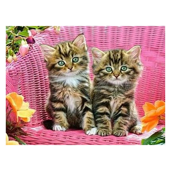 Алмазна мозаїка "Пухнаті близнюки" 178195  картон, неповна викладка 21х25 см