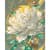 Картина за номерами "Сяюча півонія" 13153-AC 40x50 см з металізованими фарбами